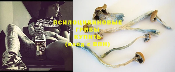 трава Зерноград