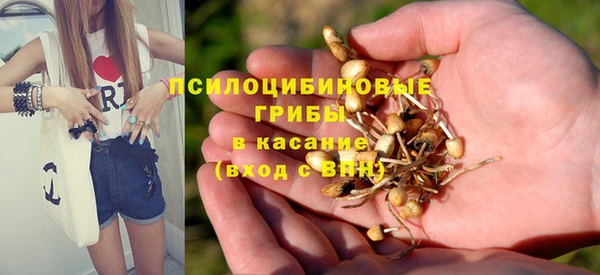 спиды Зеленодольск